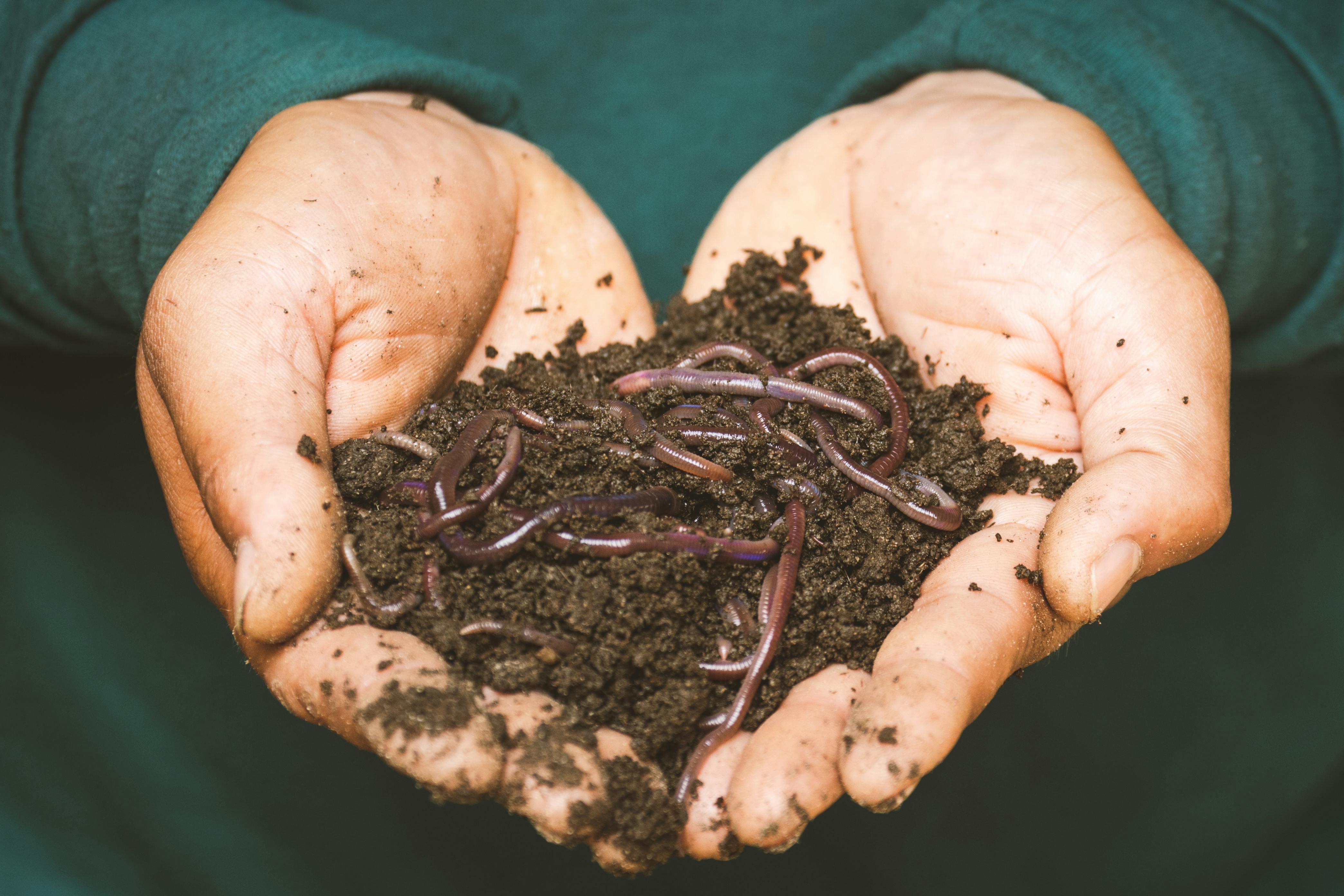 Super Vermicompost product